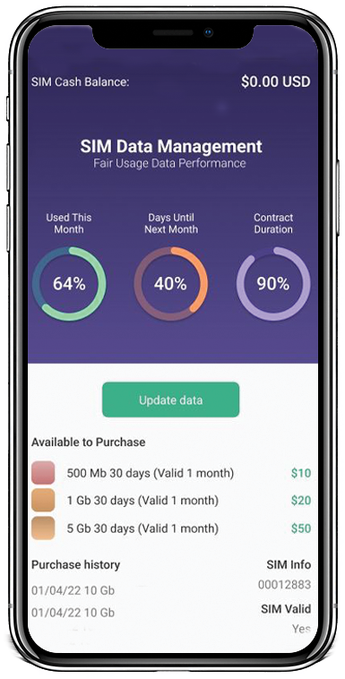 6 month data sim